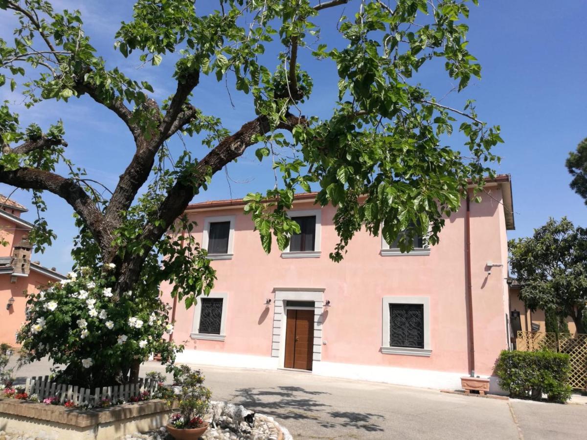 Bed and Breakfast Il Nido Della Colombaia San Nicola Manfredi Exteriér fotografie